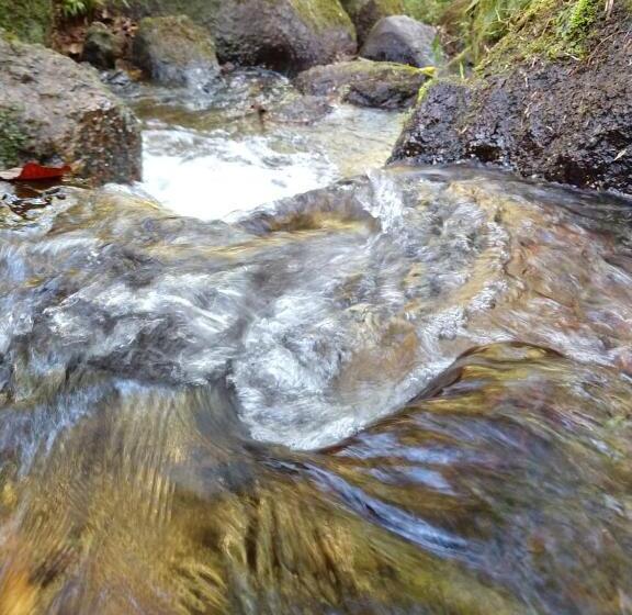 膳宿费 Recanto Das Pedras