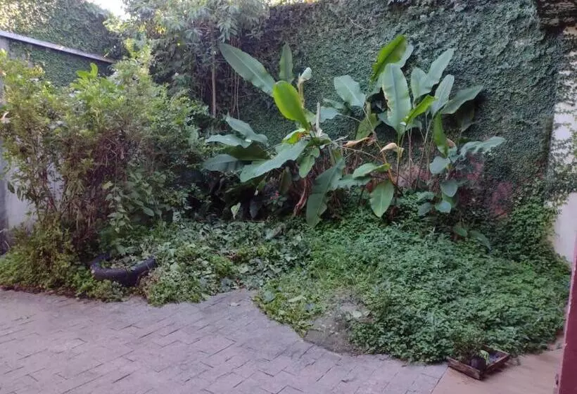 ペンション Suite Hanaki Com Microondas E Frigobar