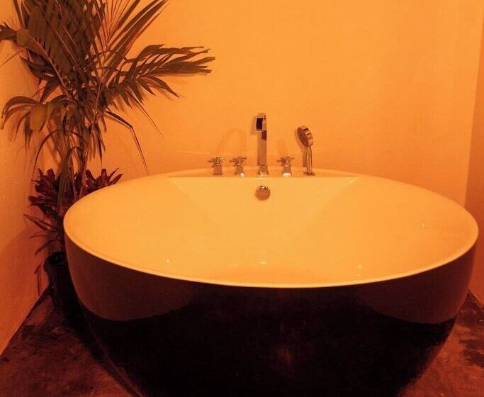 هتل Luxury Puerto Caribe Boutique