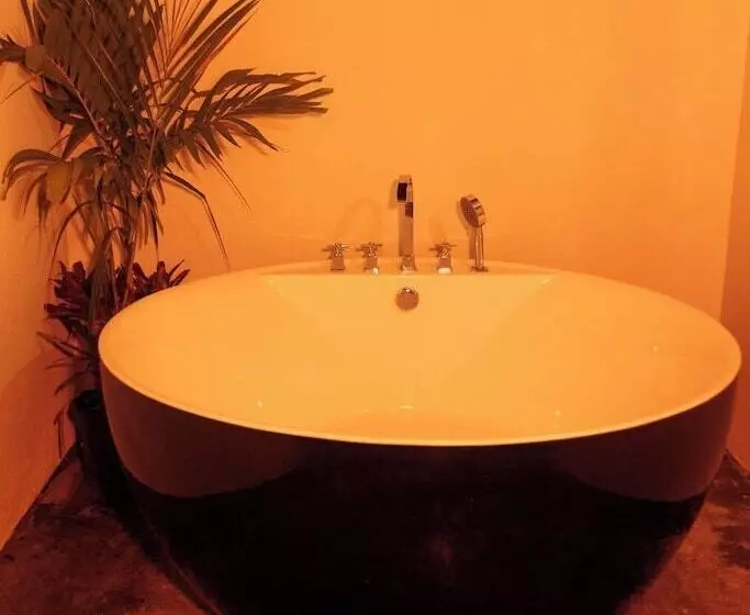 هتل Luxury Puerto Caribe Boutique