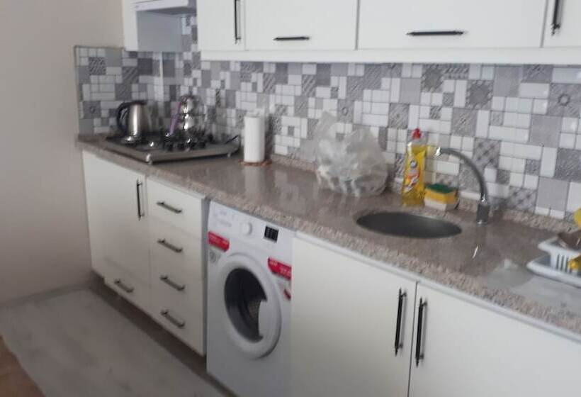 Geyikli Gunluk Daire3