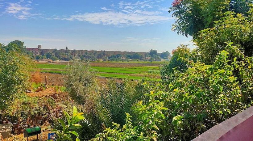 هتل Little Pharaoh