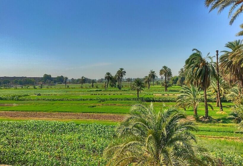 هتل Little Pharaoh