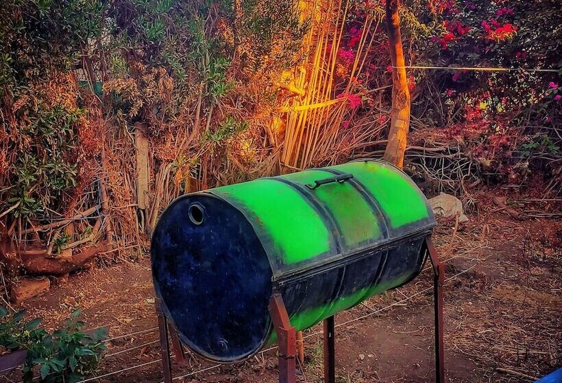 هتل Little Pharaoh