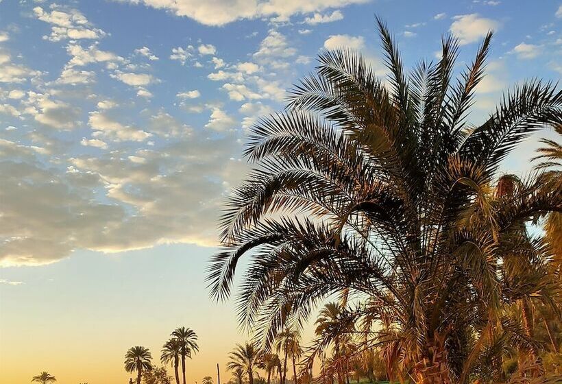 هتل Little Pharaoh