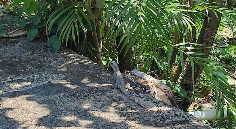 Отель Villas Del Carmen Hostal