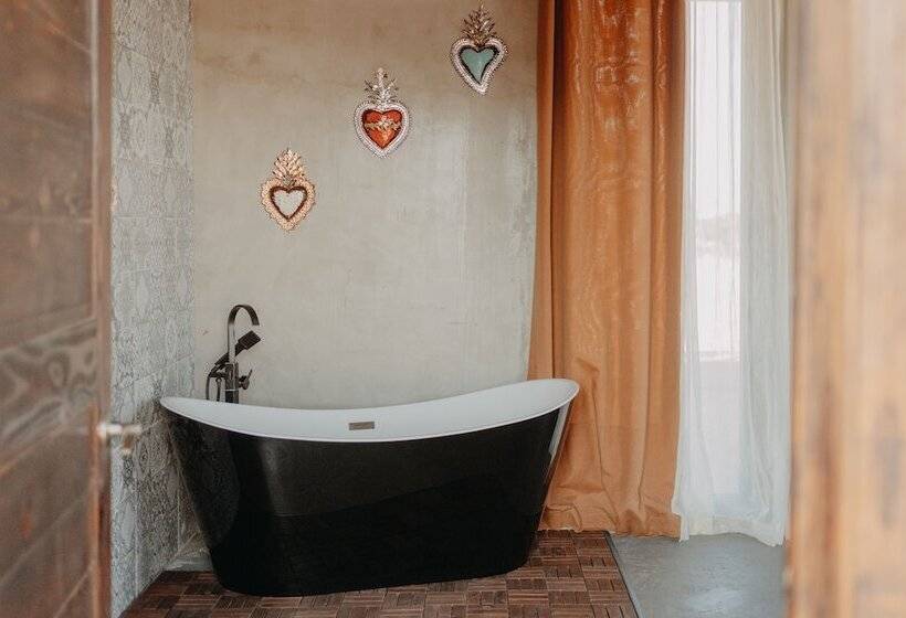 The Pangea Valle De Guadalupe