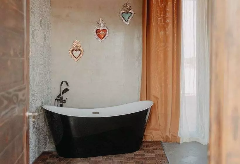 The Pangea Valle De Guadalupe