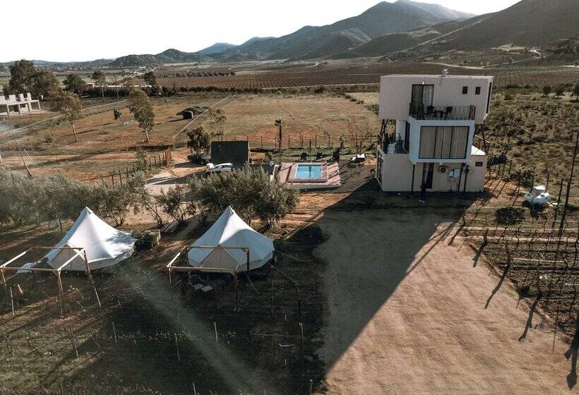The Pangea Valle De Guadalupe