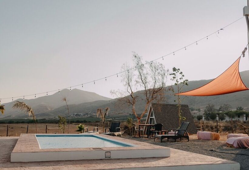 The Pangea Valle De Guadalupe