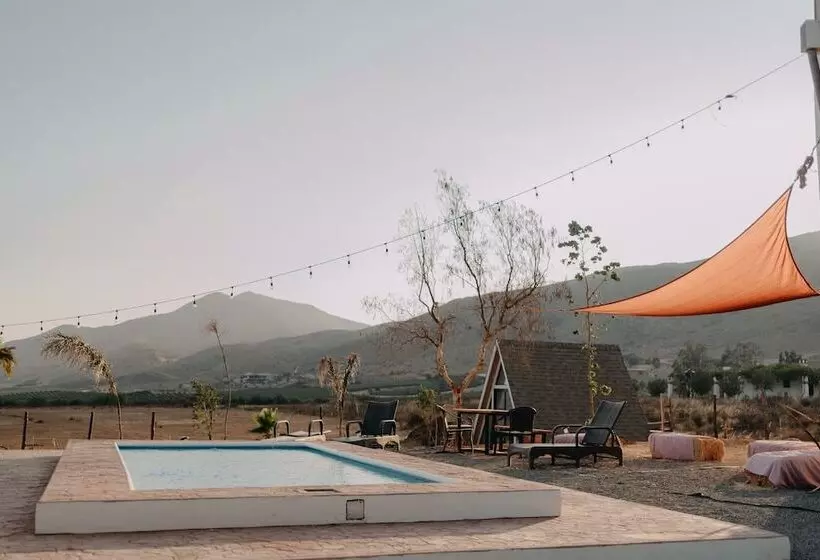 The Pangea Valle De Guadalupe