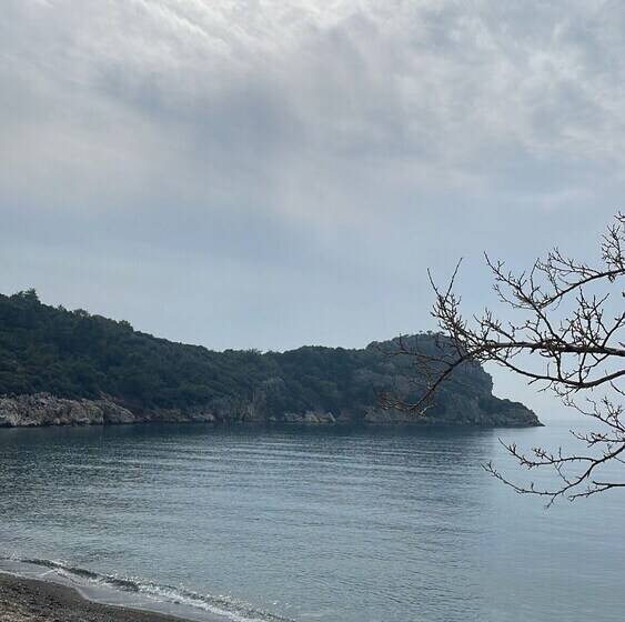 özdemir Butik Otel Ve Restaurant