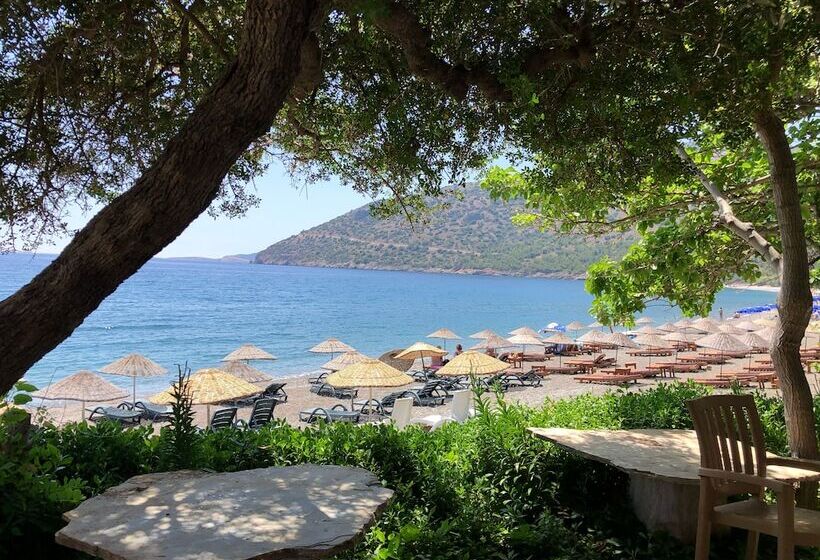 özdemir Butik Otel Ve Restaurant