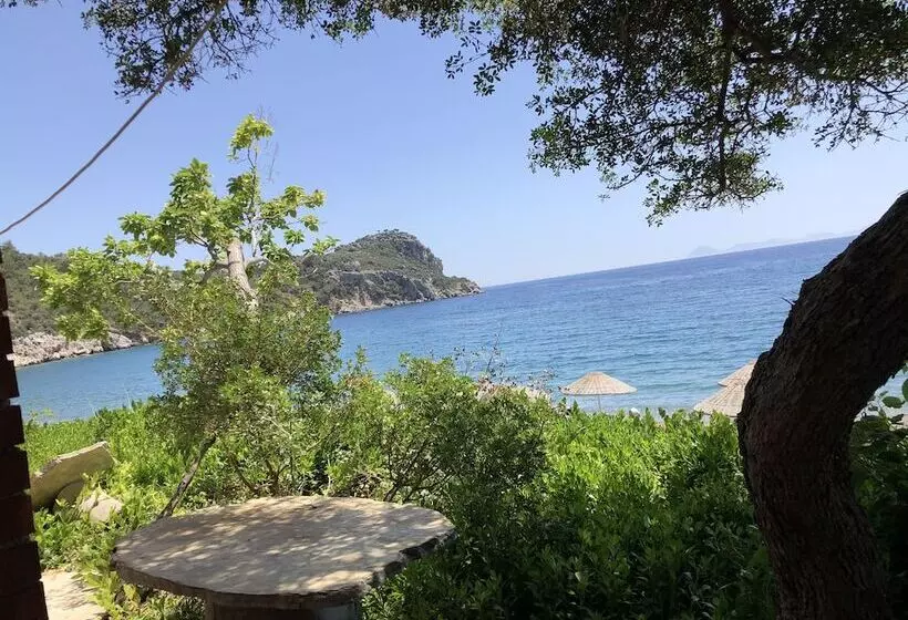 özdemir Butik Otel Ve Restaurant