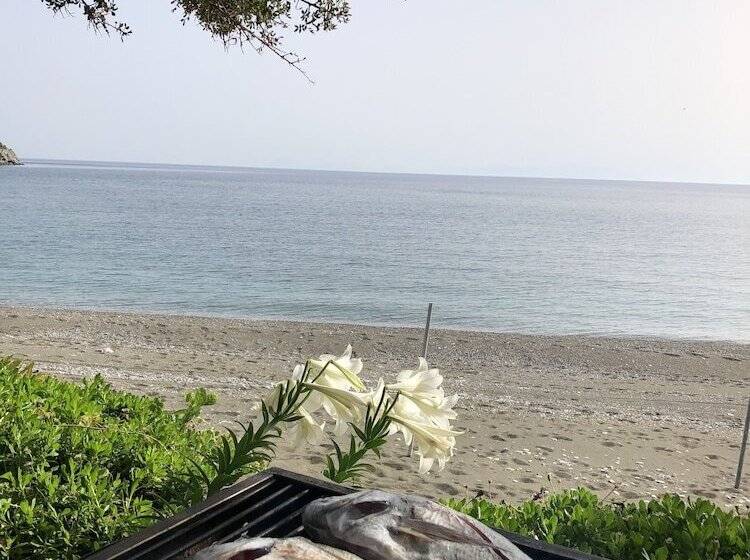 özdemir Butik Otel Ve Restaurant