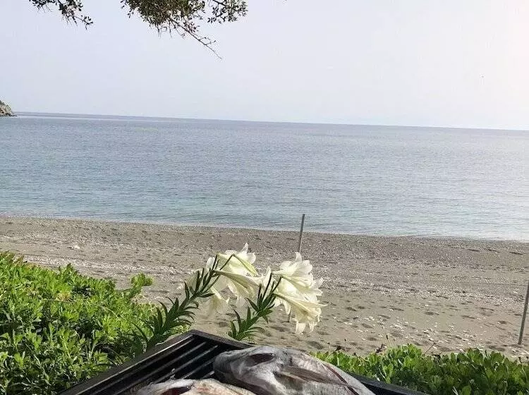 özdemir Butik Otel Ve Restaurant