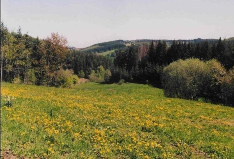 צימר Auberge Du Précontent