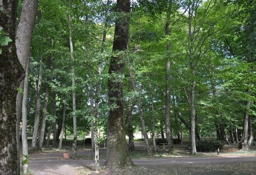 ベッドアンドブレックファースト La Maison Du Parc