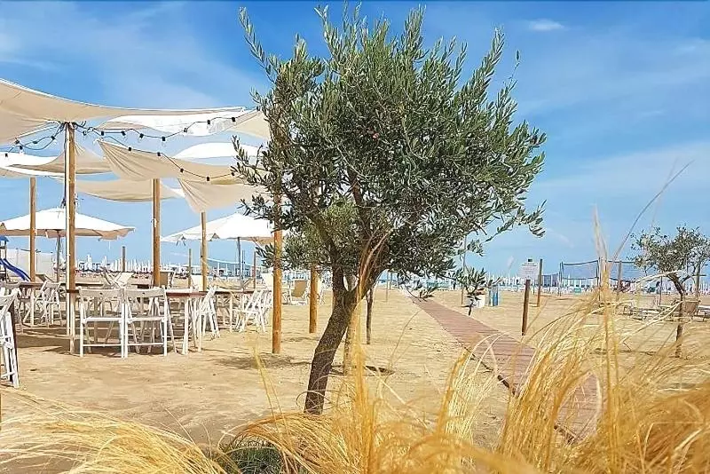 هتل Alba