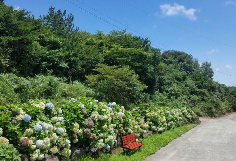 Hotel Sumang Pension