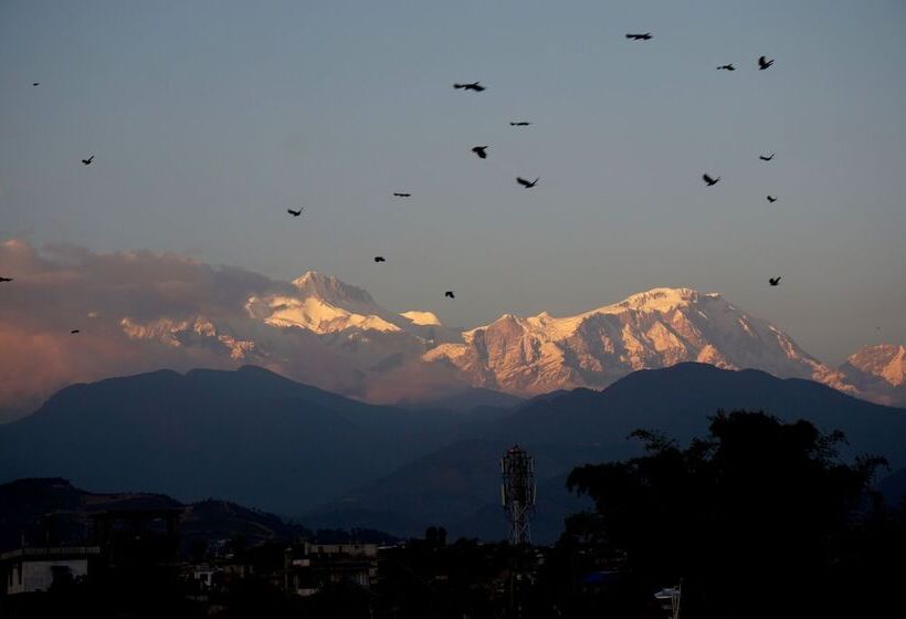 هتل New Annapurna Guest House