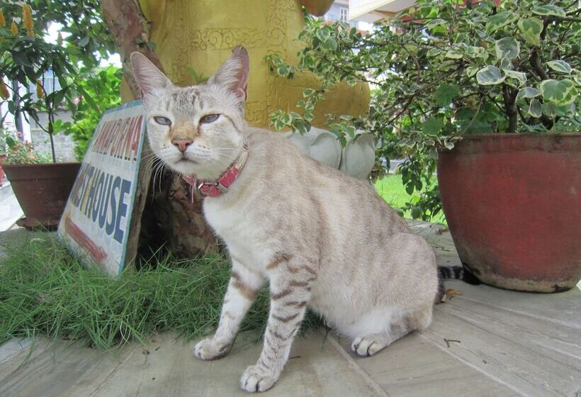 هتل New Annapurna Guest House