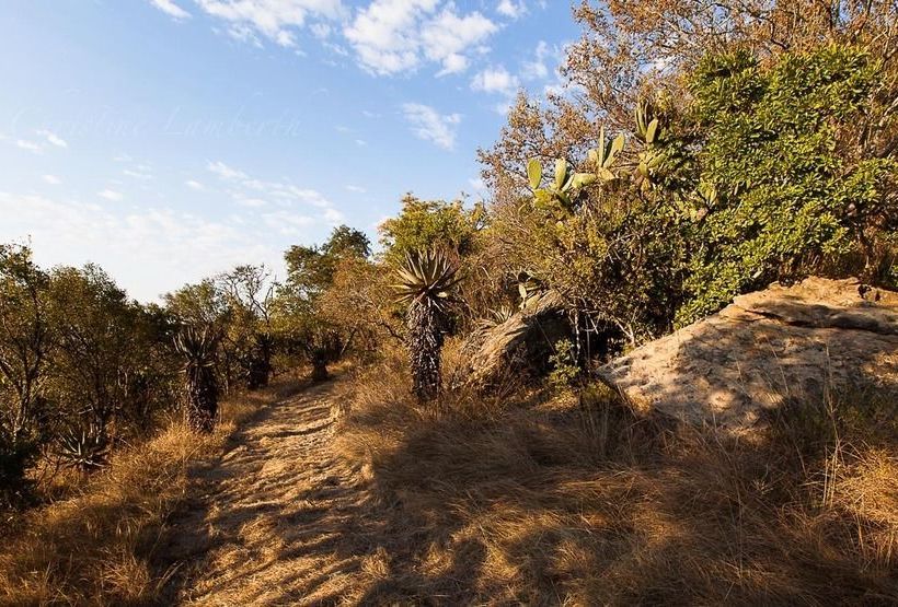 ホテル Rorkes Drift Lodge