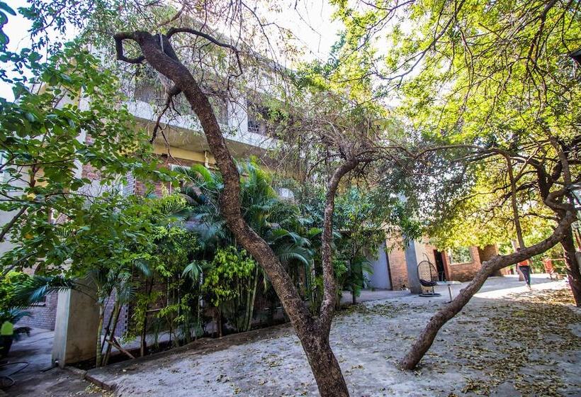 هتل The View Lodge