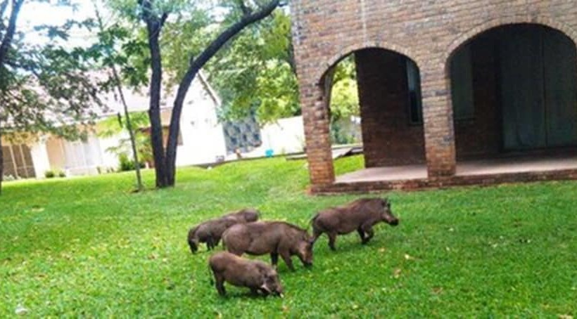 هتل The View Lodge