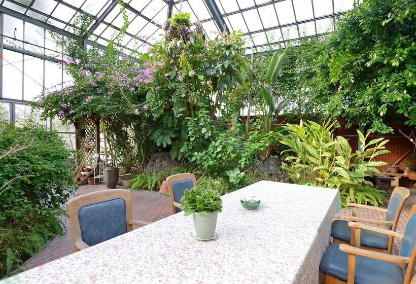 ريوكان Yagurumasou