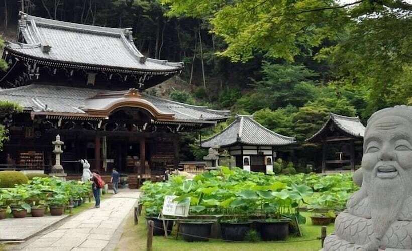 Uji Ichibanyado Nigauri