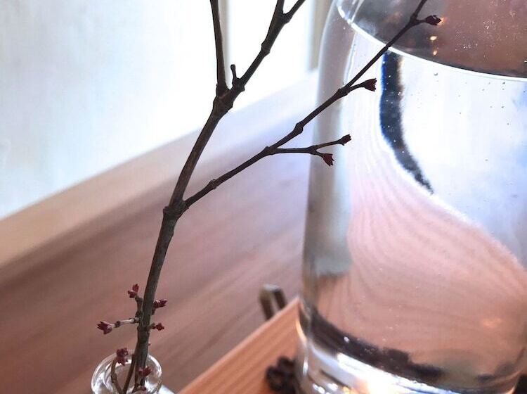 Uji Ichibanyado Nigauri