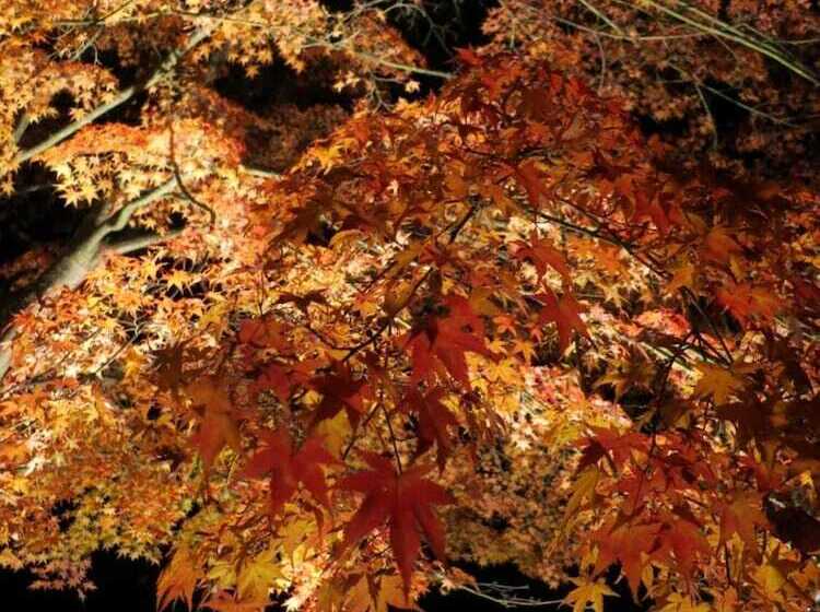 호스텔 Guesthouse Nishiki