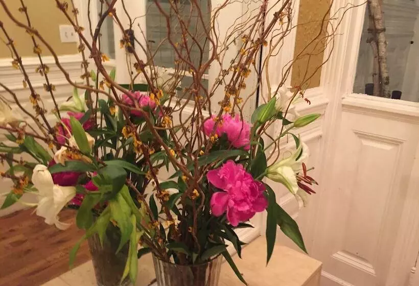 تختخواب و صبحانه The Melva Inn Harlem