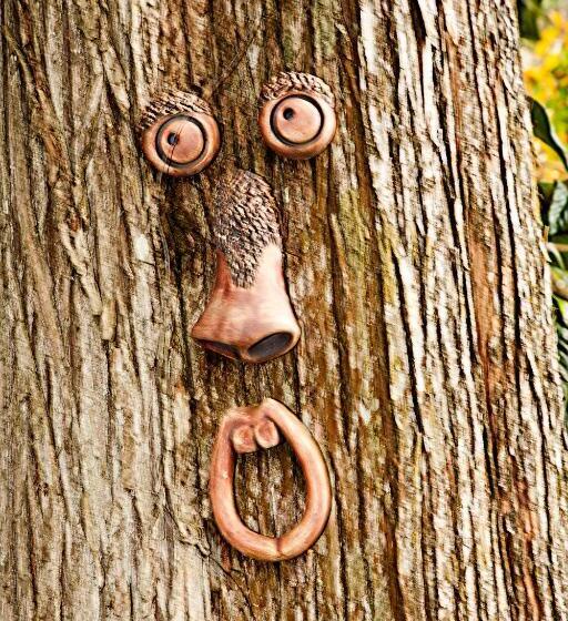 Nocleg ze śniadaniem York House Guest House