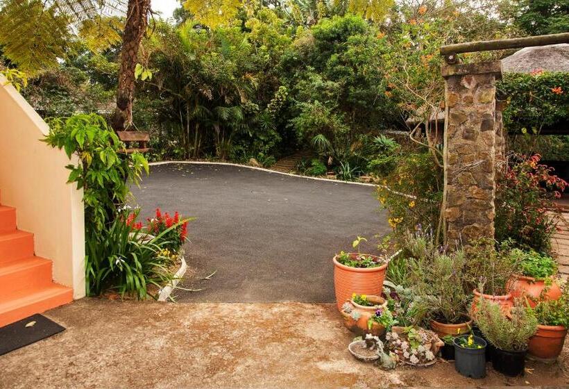 Nocleg ze śniadaniem York House Guest House