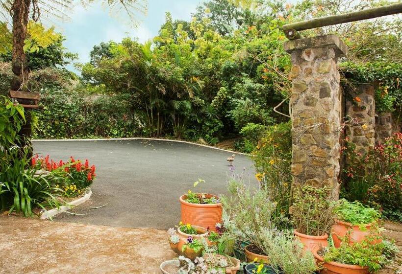 Nocleg ze śniadaniem York House Guest House