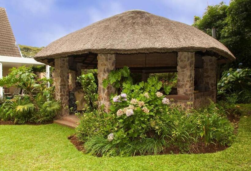 Nocleg ze śniadaniem York House Guest House