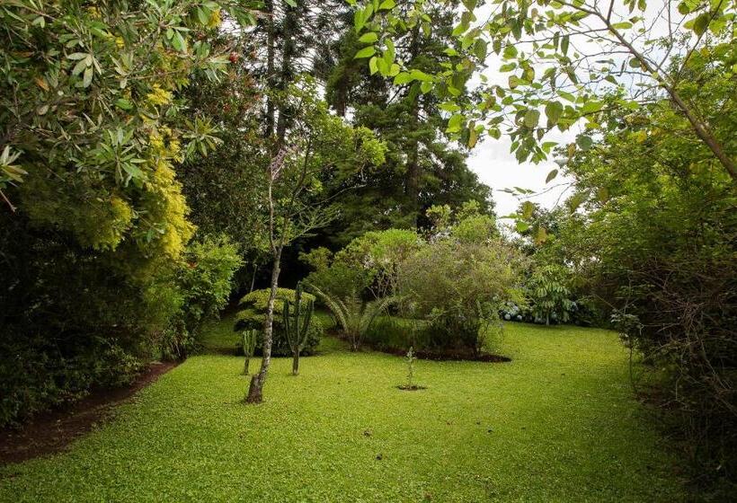 Nocleg ze śniadaniem York House Guest House