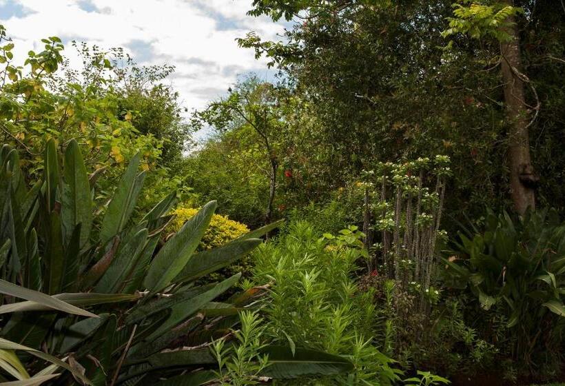 Nocleg ze śniadaniem York House Guest House