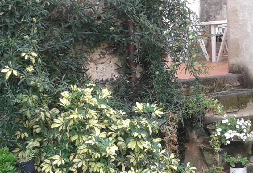 Bed & Breakfast Casa Pisanu