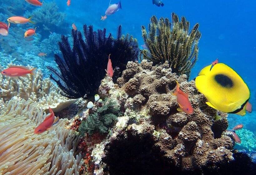 فندق Puri Sayang Bungalows