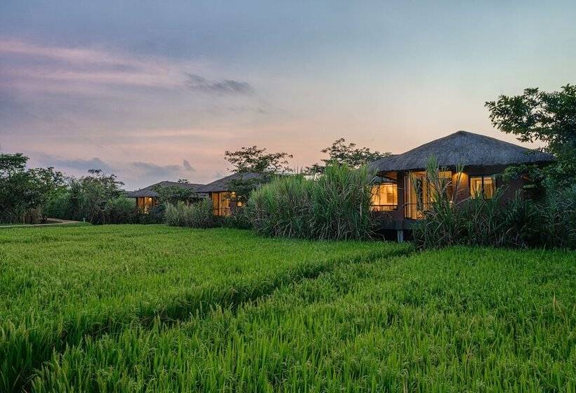فندق Water Garden Sigiriya