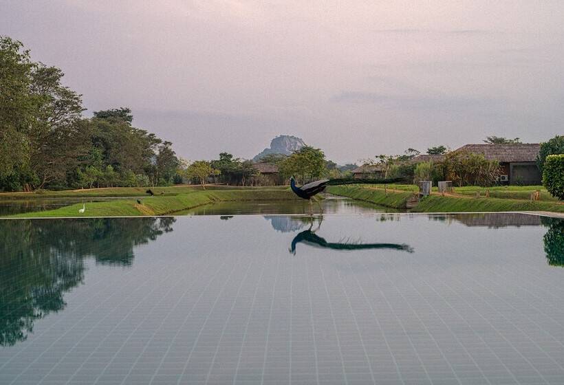 فندق Water Garden Sigiriya