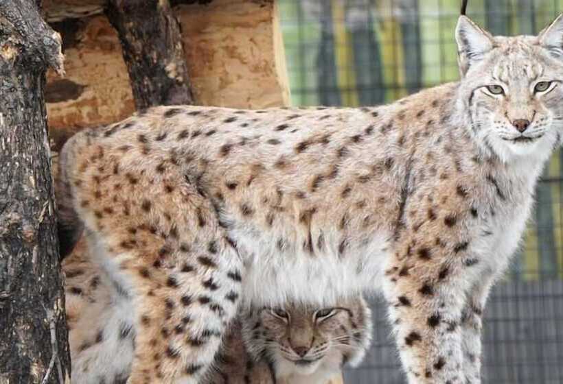 فندق Woodspring Suites Fargo North Near Ndsu