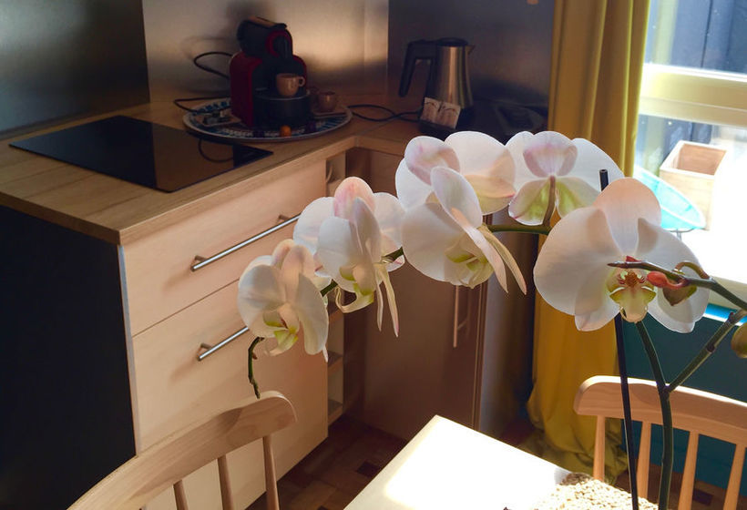 Villa Marie Talbot Plage Et Vue Mer