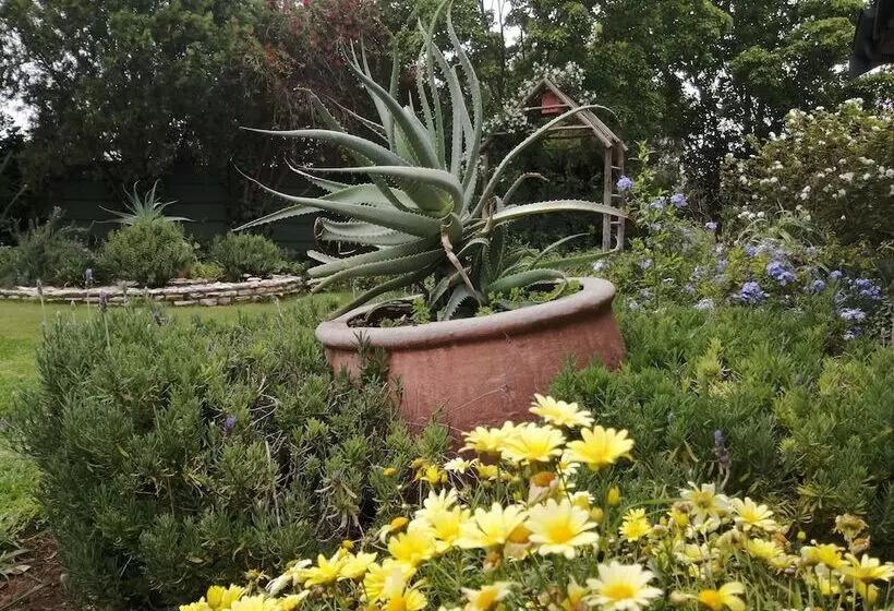پانسیون Dias Guest House
