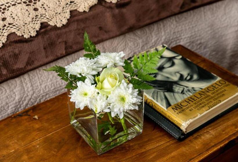 Pension Terra Casa Guesthouse