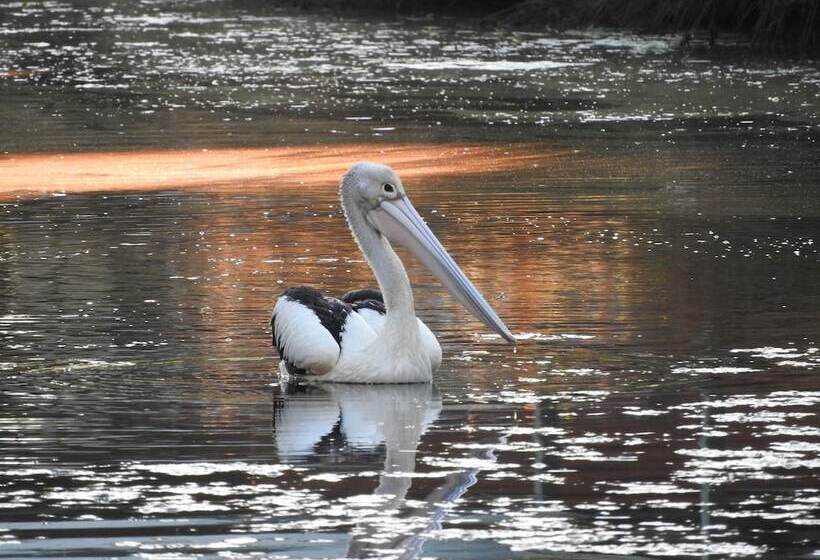 Victoria Lake Holiday Park