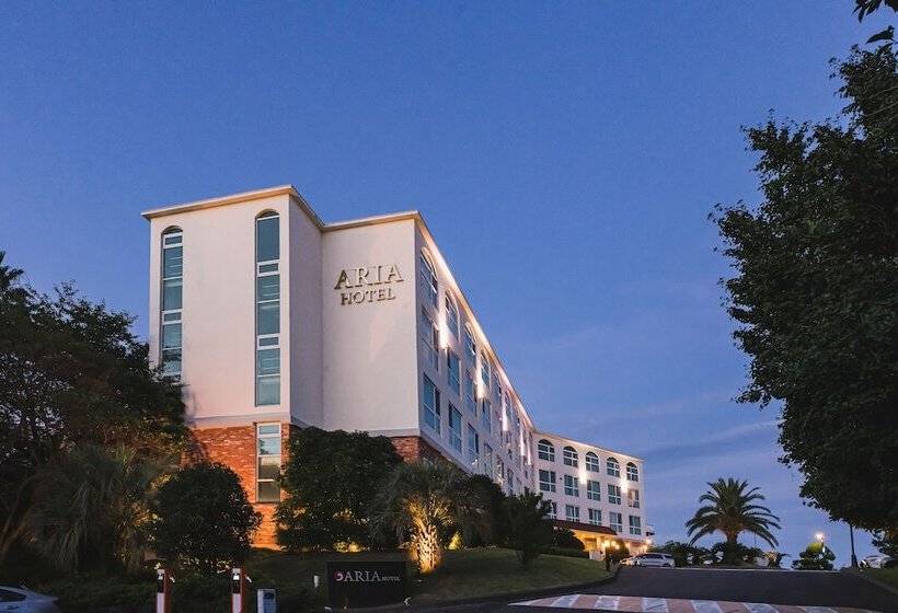 Aria Hotel Jeju